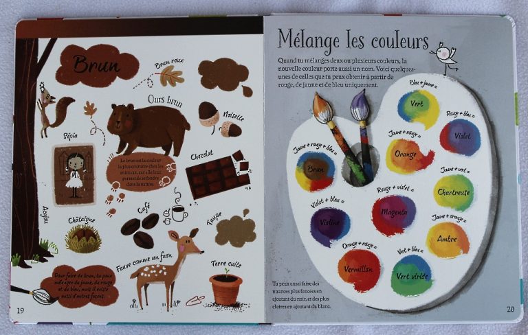 Le grand livre des couleurs - Usborne - Payette Family