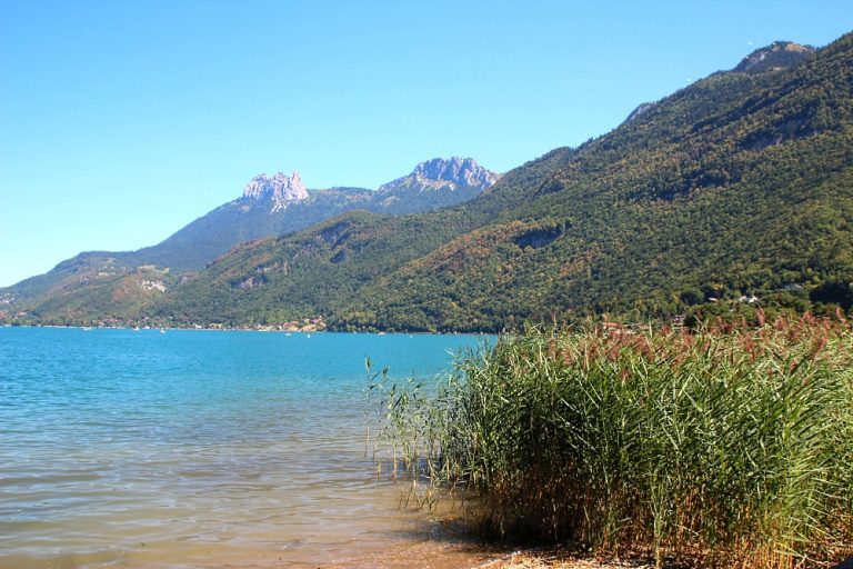 Réserve Naturelle Nationale Du Bout Du Lac D Annecy